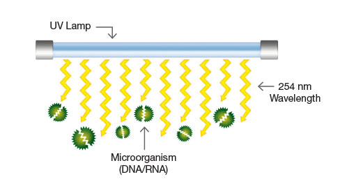 紫外線和臭氧哪個殺菌效果好