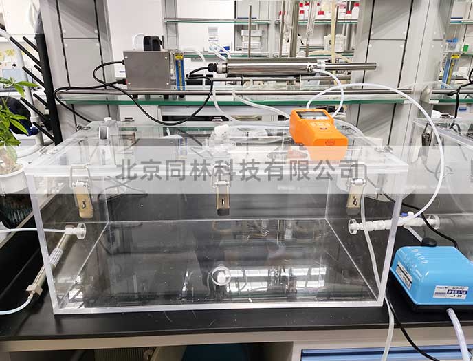 大鼠小鼠動(dòng)物臭氧染毒實(shí)驗(yàn)方案